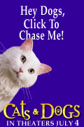 Click to chase cats.