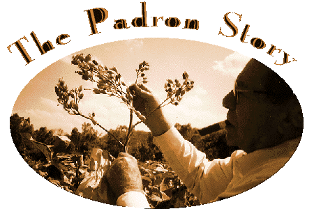 THE PADRON STORY